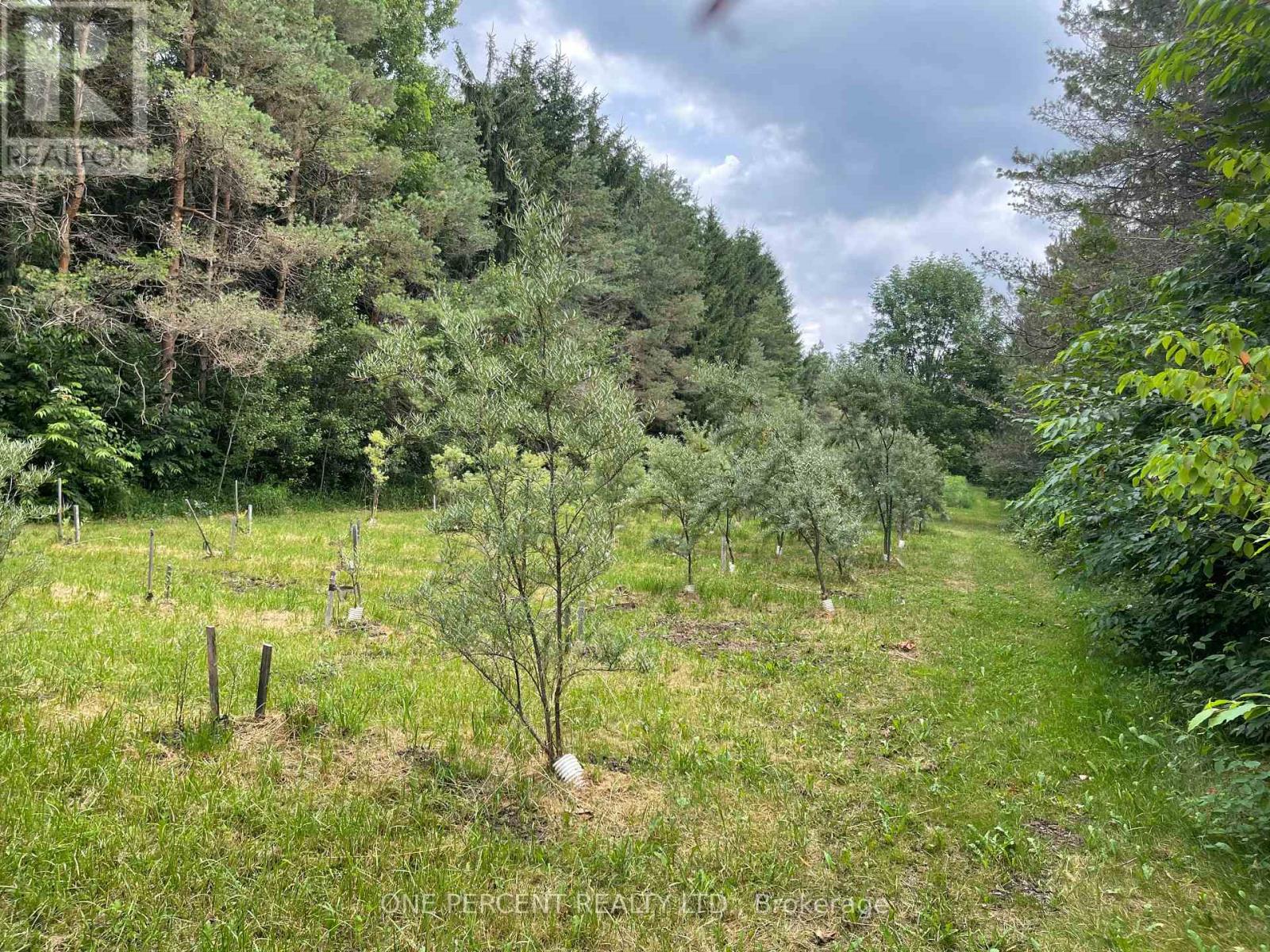 196690 Grey Road 7 Road, Grey Highlands, Ontario  N4L 1W7 - Photo 35 - X12894276