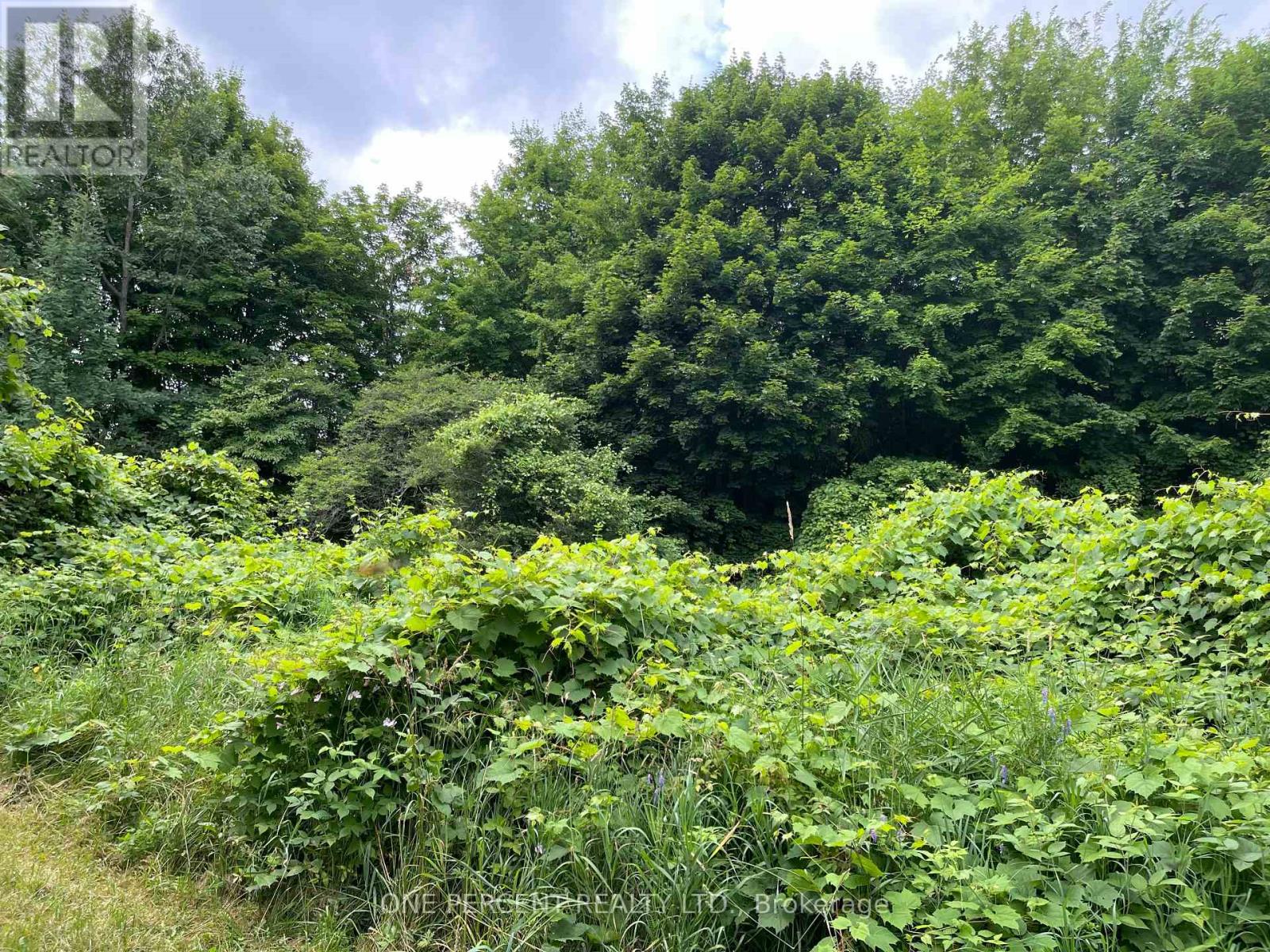 196690 Grey Road 7 Road, Grey Highlands, Ontario  N4L 1W7 - Photo 36 - X12894276