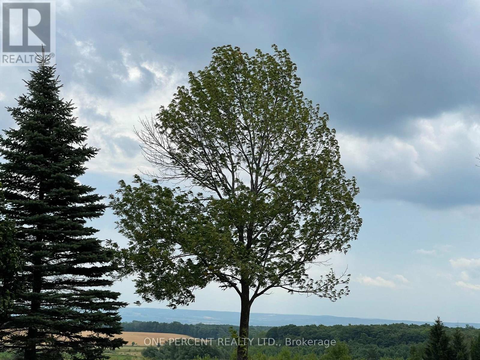 196690 Grey Road 7 Road, Grey Highlands, Ontario  N4L 1W7 - Photo 5 - X12894276