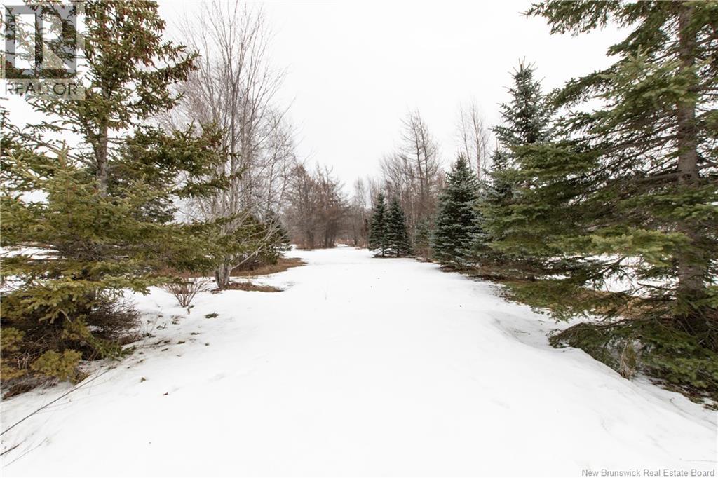 2000 Amirault Street, Dieppe, New Brunswick  E1A 7K1 - Photo 43 - NB134490