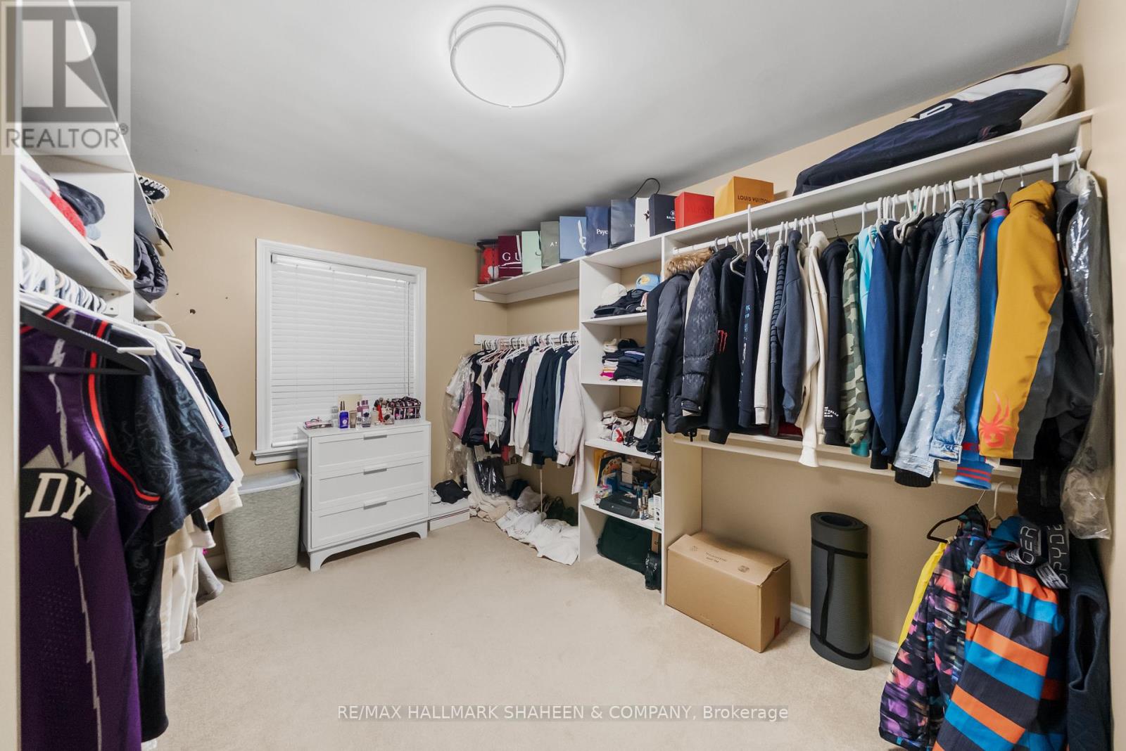 223 Hillcrest Avenue, Toronto, Ontario  M2N 3P3 - Photo 24 - C12894368