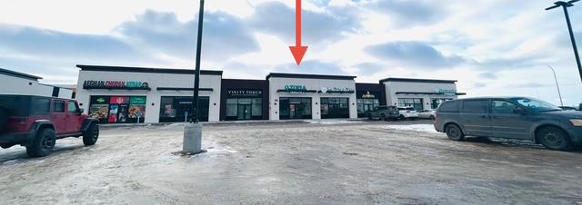 387  Parsons Rd Sw, Edmonton, Alberta  T6X 3B9 - Photo 5 - 44534190