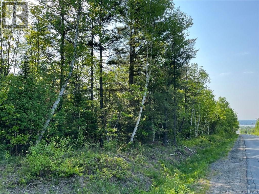 10.2 Acres Hansen Road, Miramichi, New Brunswick  E1V 3M2 - Photo 4 - NB087213