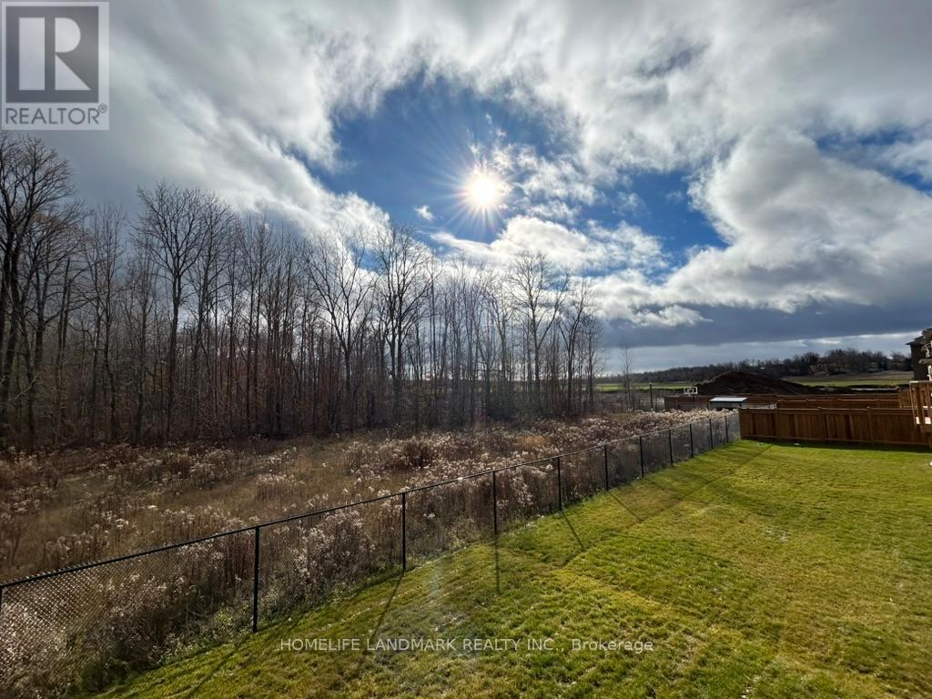 59 Big Canoe Drive, Georgina, Ontario  L0E 1R0 - Photo 28 - N12889928