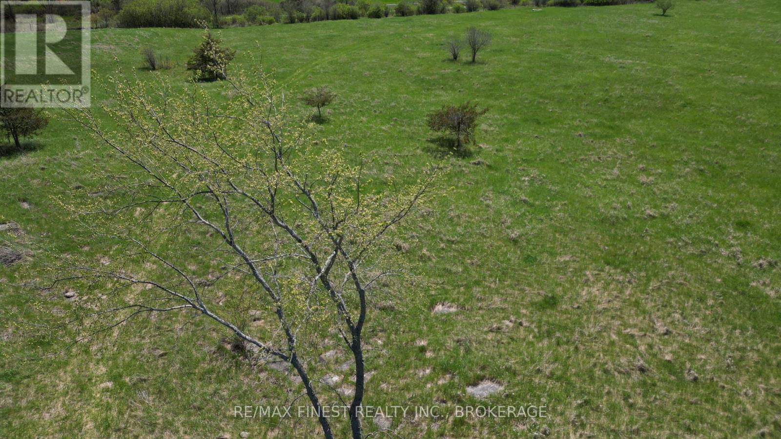 Lot 21 County Road 17 Road, Stone Mills (Stone Mills), Ontario  K7R 3L2 - Photo 6 - X12894658