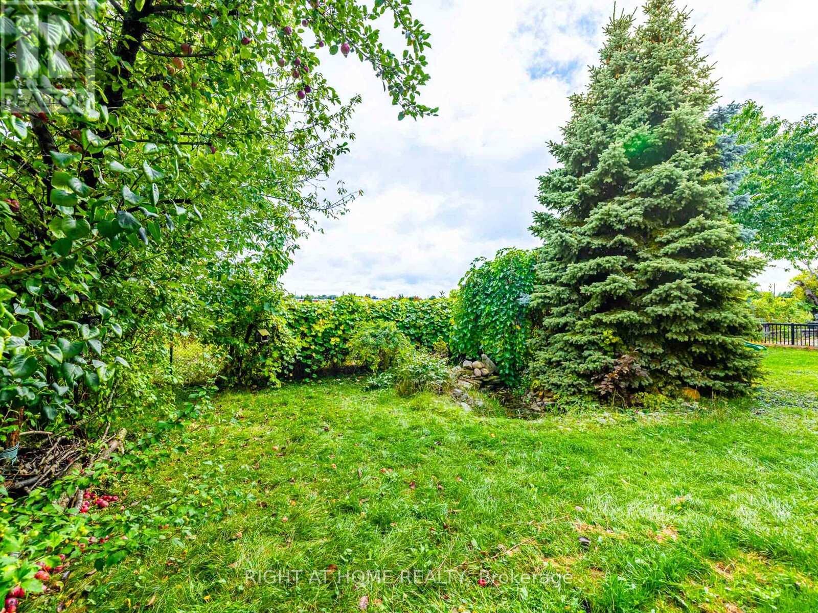 43 Farmstead Road, Richmond Hill (Rouge Woods), Ontario  L4S 1W3 - Photo 19 - N12894592