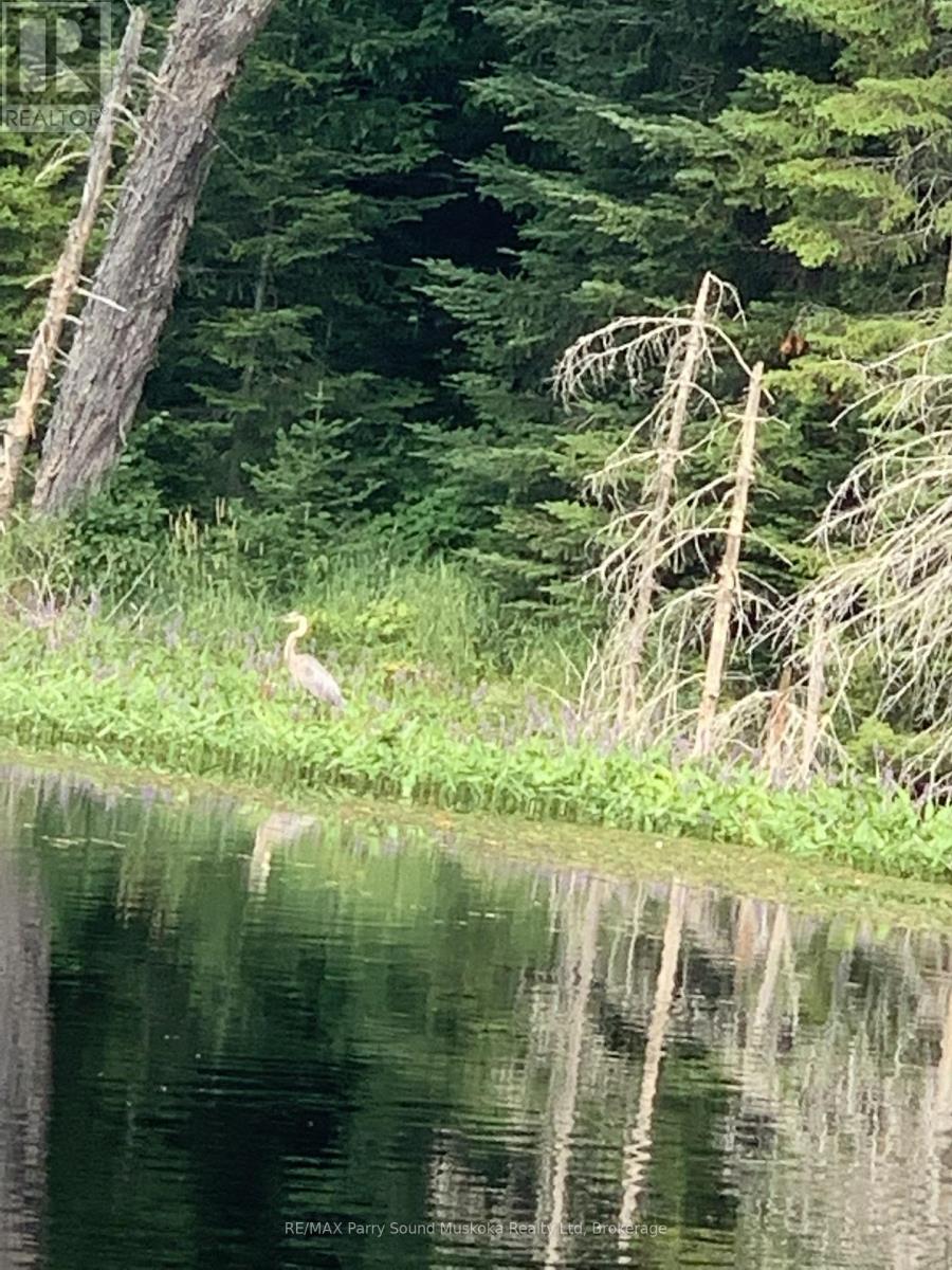 123 520 Highway, Whitestone, Ontario  P0A 1G0 - Photo 11 - X12894564