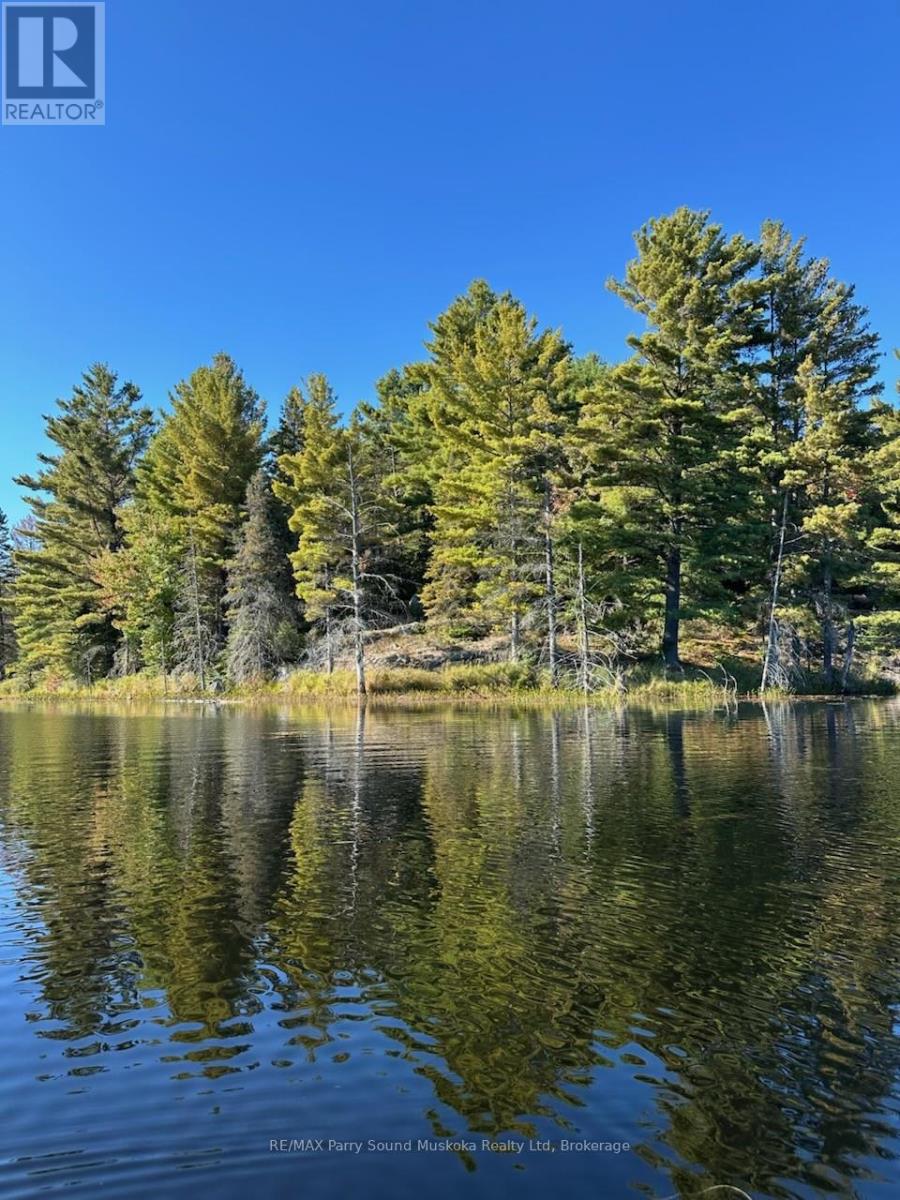 123 520 Highway, Whitestone, Ontario  P0A 1G0 - Photo 14 - X12894564