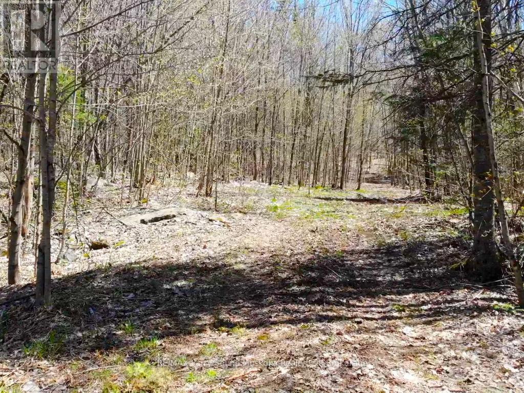 123 520 Highway, Whitestone, Ontario  P0A 1G0 - Photo 5 - X12894564