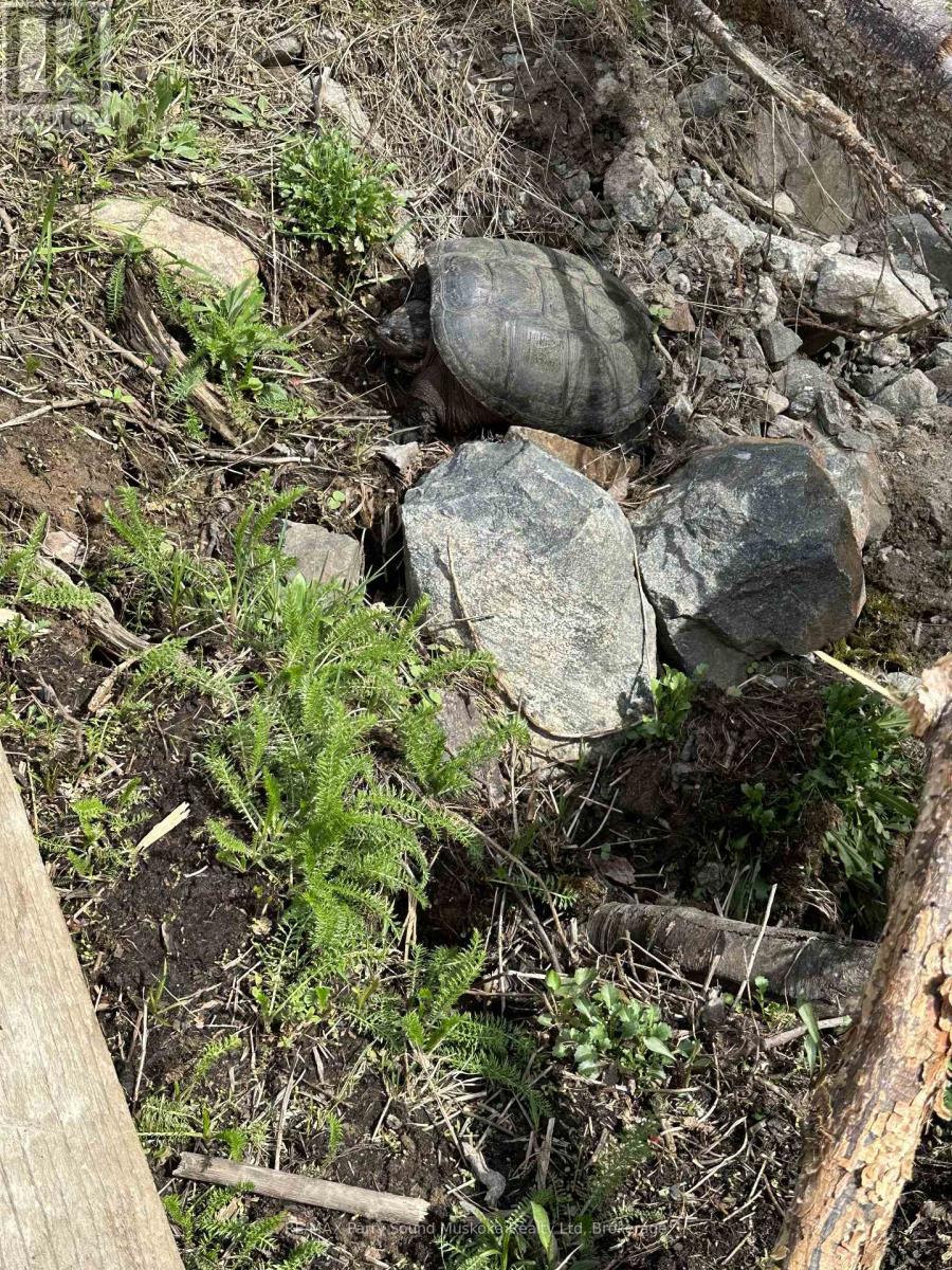 123 520 Highway, Whitestone, Ontario  P0A 1G0 - Photo 9 - X12894564