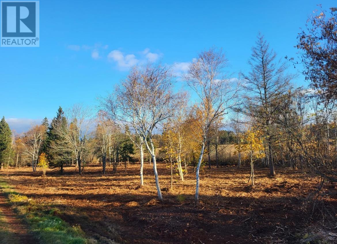 Hall Road, Grand River, Prince Edward Island  C0B 1T0 - Photo 12 - 202604761