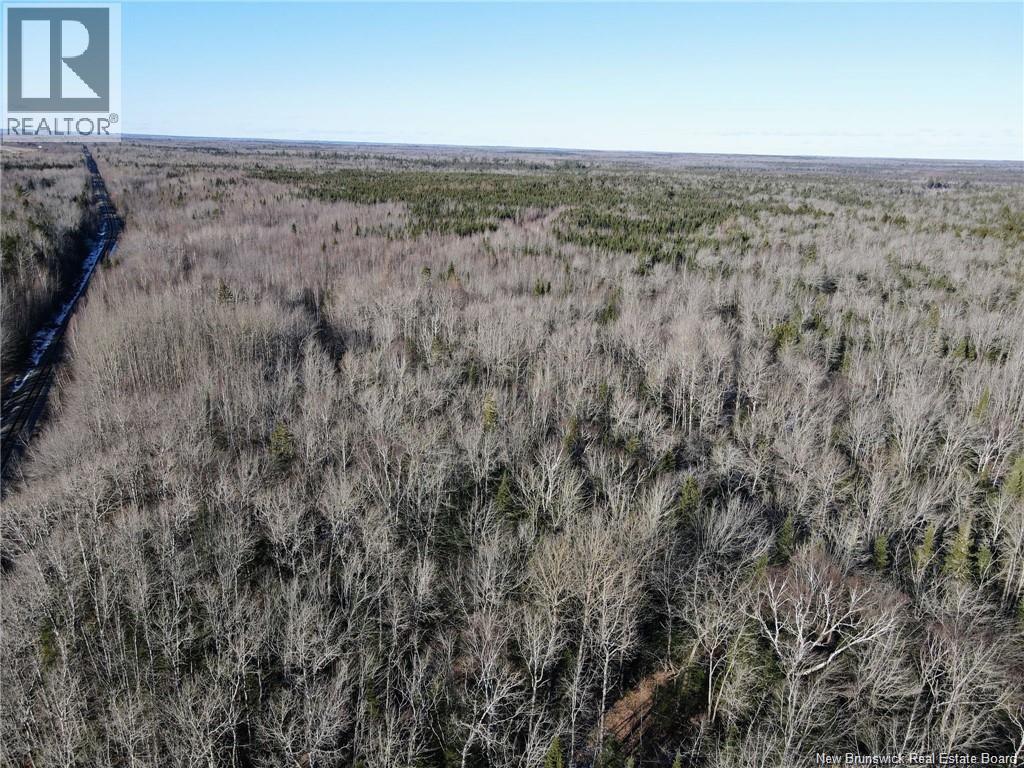 4 Lots Off Hwy 2, Lakeburn, New Brunswick  E1A 7J6 - Photo 6 - NB135166