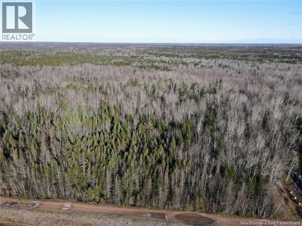 4 Lots Off Hwy 2, Lakeburn, New Brunswick  E1A 7J6 - Photo 7 - NB135166