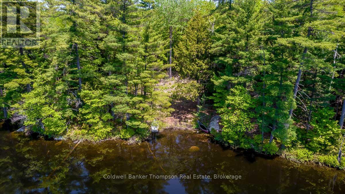 29 Bear Lake Road, Georgian Bay, Ontario  P0C 1H0 - Photo 4 - X12894670