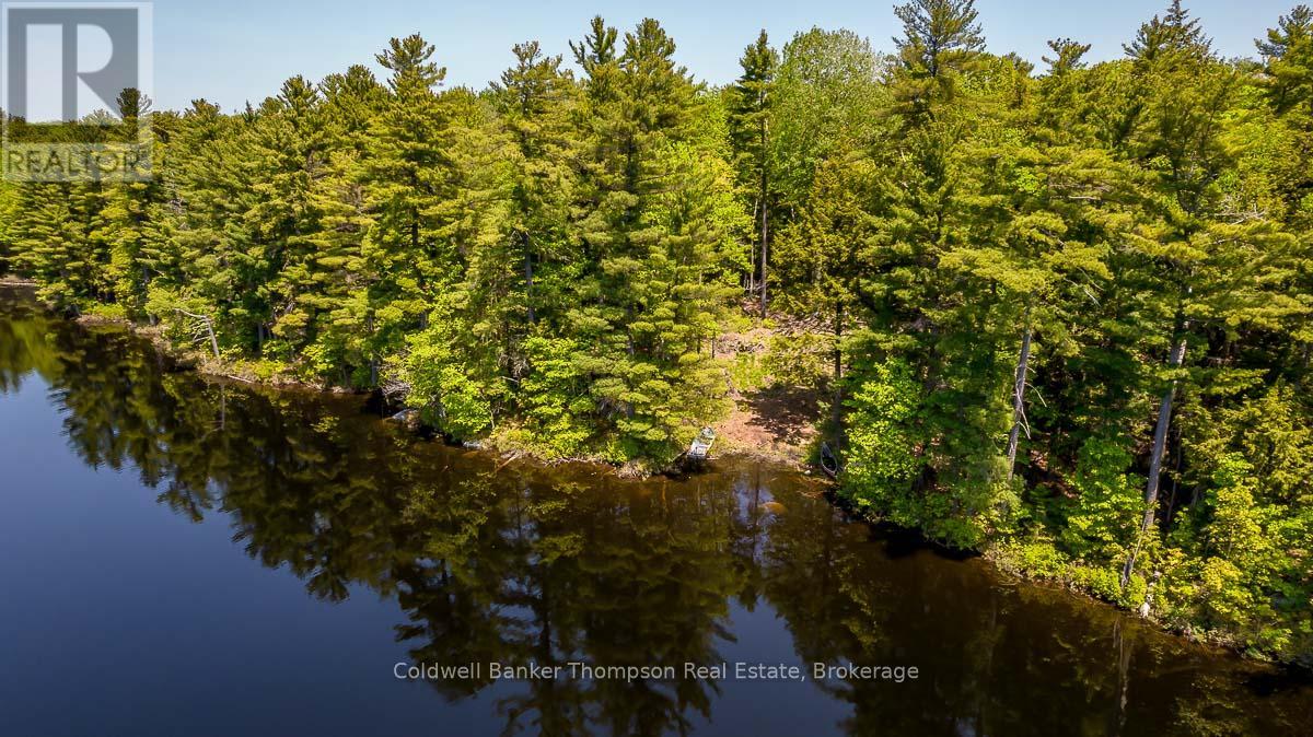 29 Bear Lake Road, Georgian Bay, Ontario  P0C 1H0 - Photo 5 - X12894670
