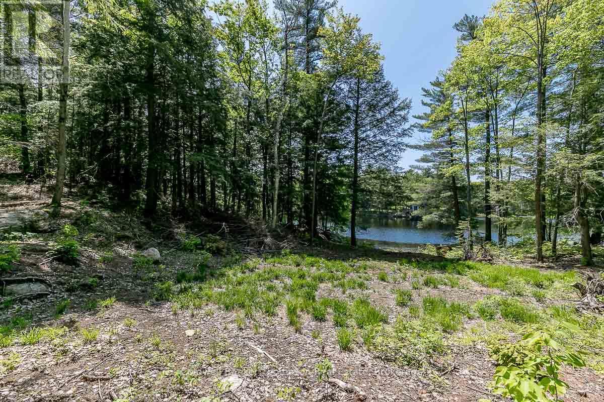 29 Bear Lake Road, Georgian Bay, Ontario  P0C 1H0 - Photo 6 - X12894670