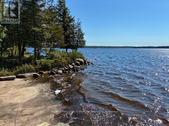 5993 Highway #124 Highway, Magnetawan, Ontario  P0A 1A0 - Photo 8 - X12894852