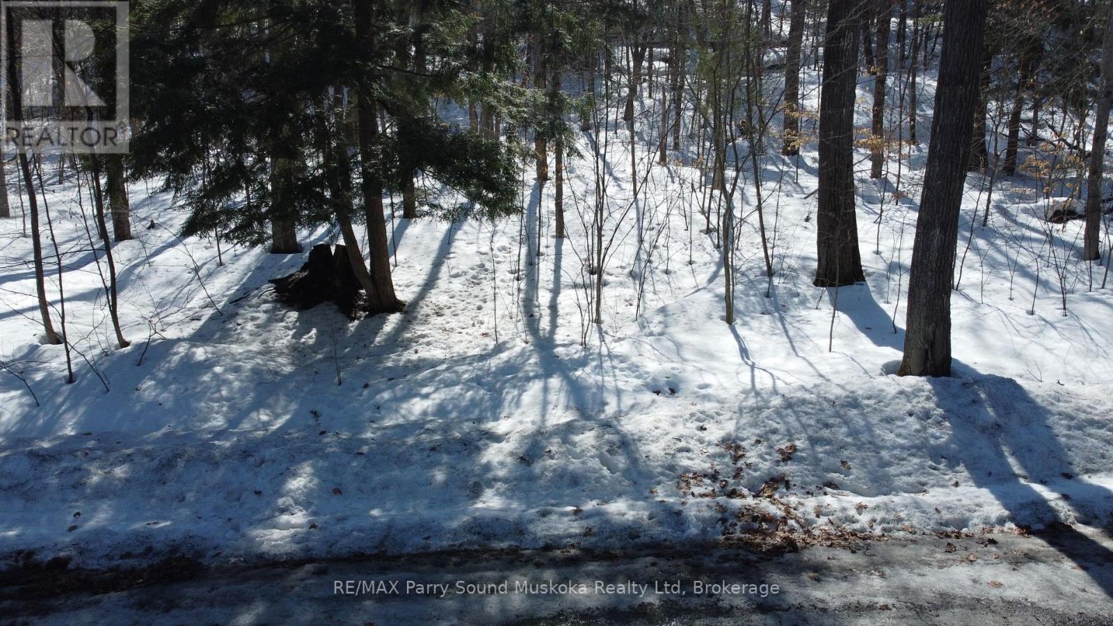 44 Ridgeway Drive, Carling, Ontario  P0G 1G0 - Photo 5 - X12894920