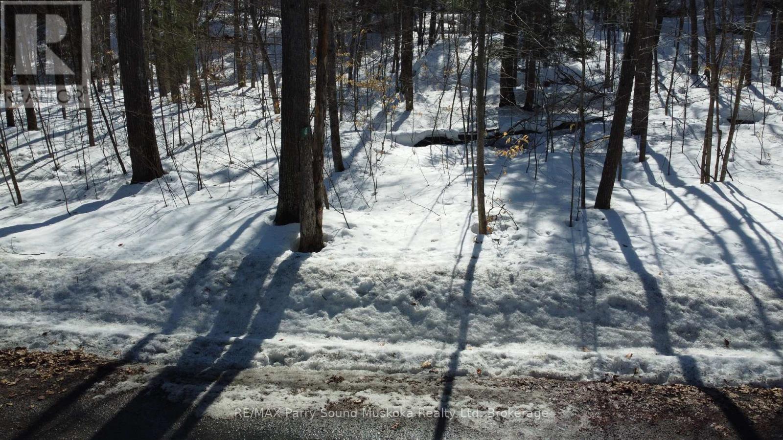 46 Ridgeway Drive, Carling, Ontario  P0G 1G0 - Photo 4 - X12894948