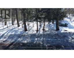 46 RIDGEWAY DRIVE, Carling, Ontario