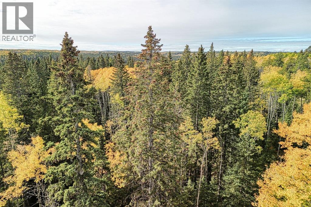 283096 Range Rd 51, Rural Rocky View County, Alberta  T4C 3A1 - Photo 40 - A2285529