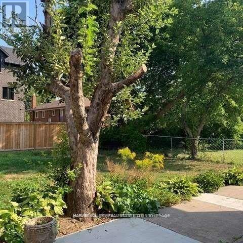 Main - 72 Mcgillivray Avenue, Toronto, Ontario  M5M 2Y2 - Photo 14 - C12894936