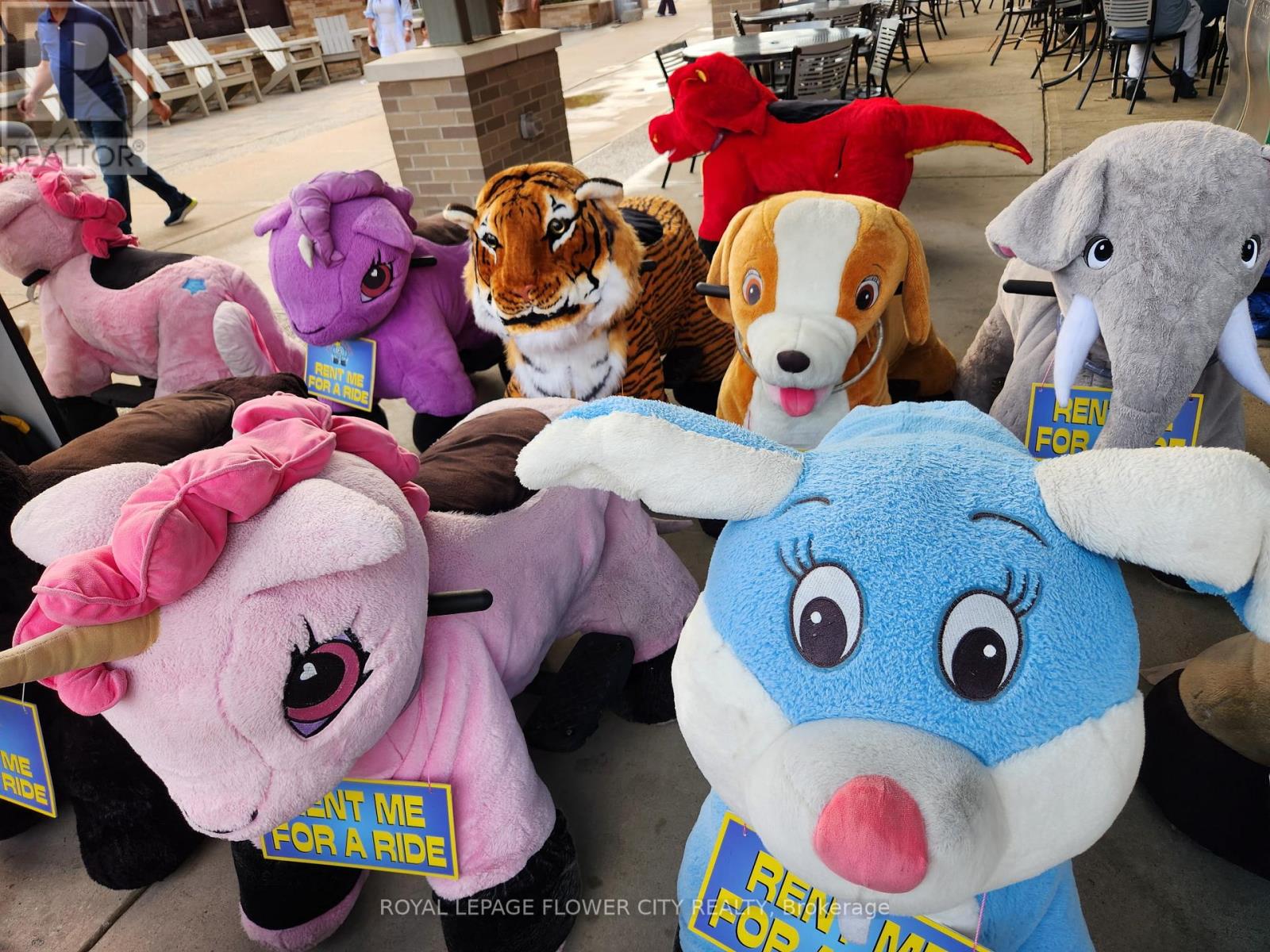 Tt35 - 13850 Steeles Avenue W, Halton Hills, Ontario  L7G 0J1 - Photo 15 - W12894744