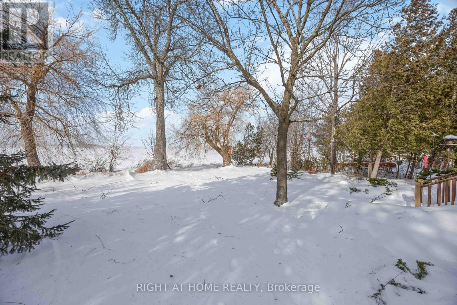 28 Birch Island Road, Scugog, Ontario  L0B 1K0 - Photo 28 - E12655742