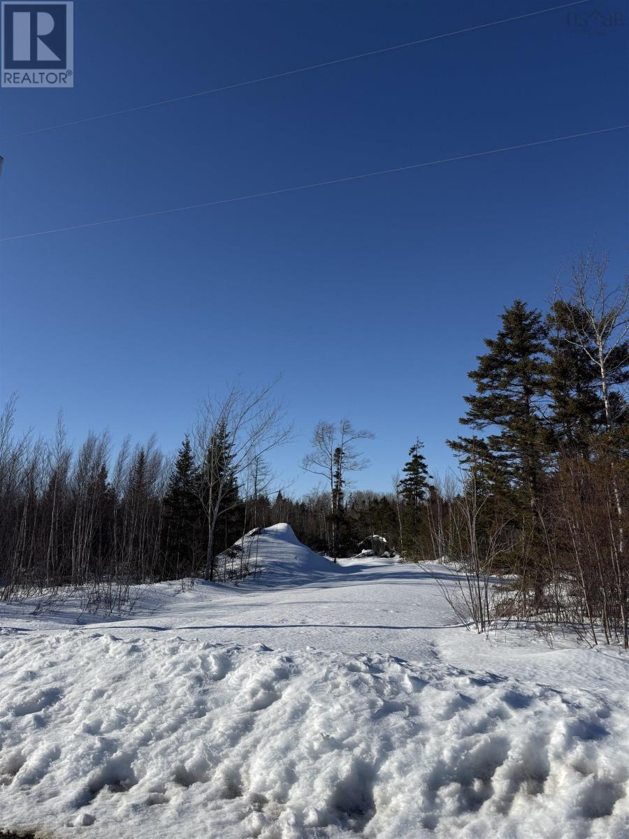 Lot 10 945 College Grant Road, East Branch, Nova Scotia