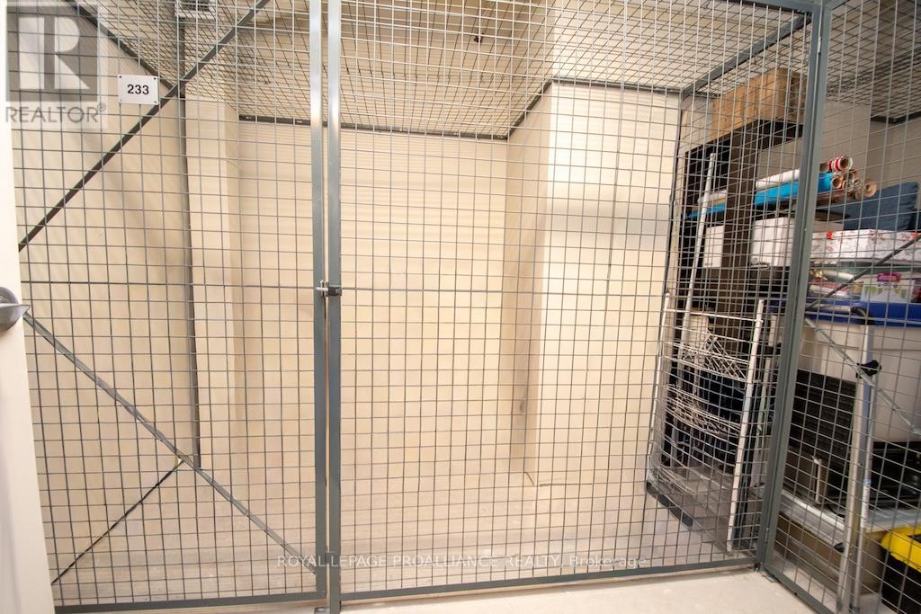 212 - 869 Clonsilla Avenue, Peterborough (Otonabee Ward 1), Ontario  K9J 0B7 - Photo 29 - X12895050