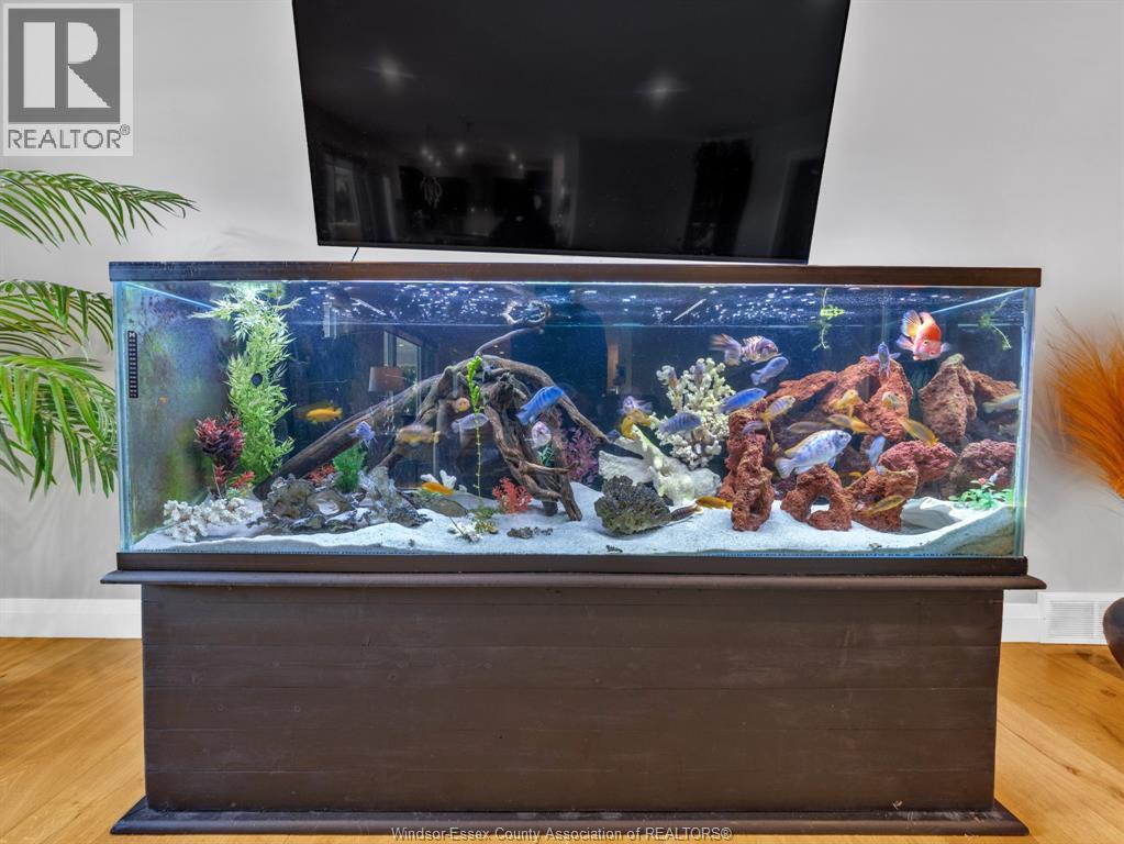 656 Markham, Lakeshore, Ontario  N0P 2L0 - Photo 19 - 26005625