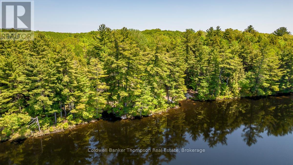 29 Bear Lake Road, Georgian Bay, Ontario  P0C 1H0 - Photo 18 - X12894670
