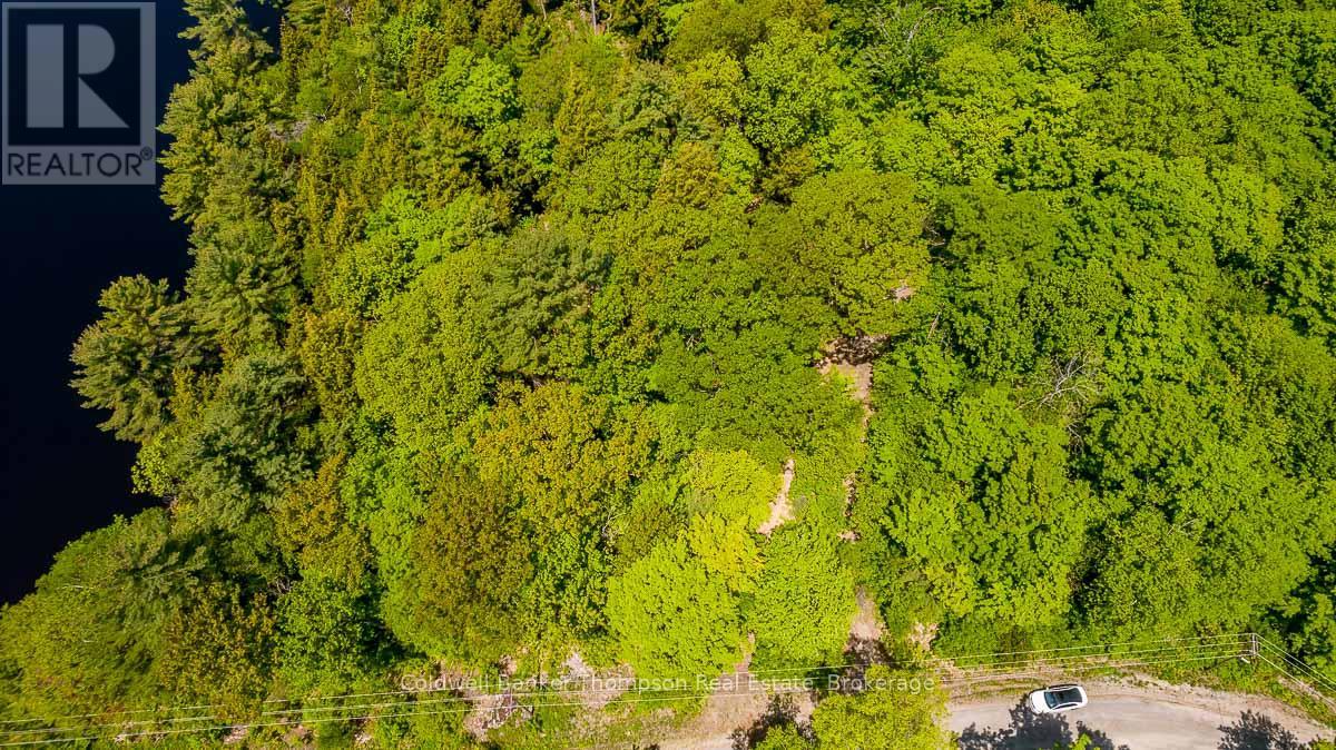 29 Bear Lake Road, Georgian Bay, Ontario  P0C 1H0 - Photo 16 - X12894670