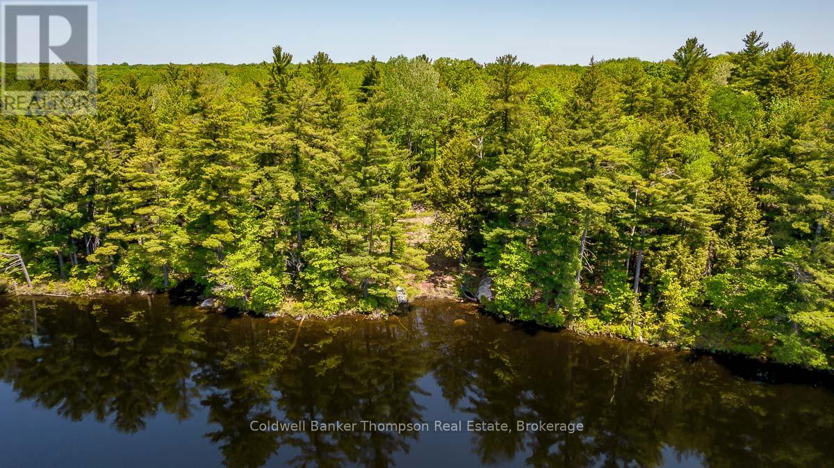 29 Bear Lake Road, Georgian Bay, Ontario  P0C 1H0 - Photo 15 - X12894670