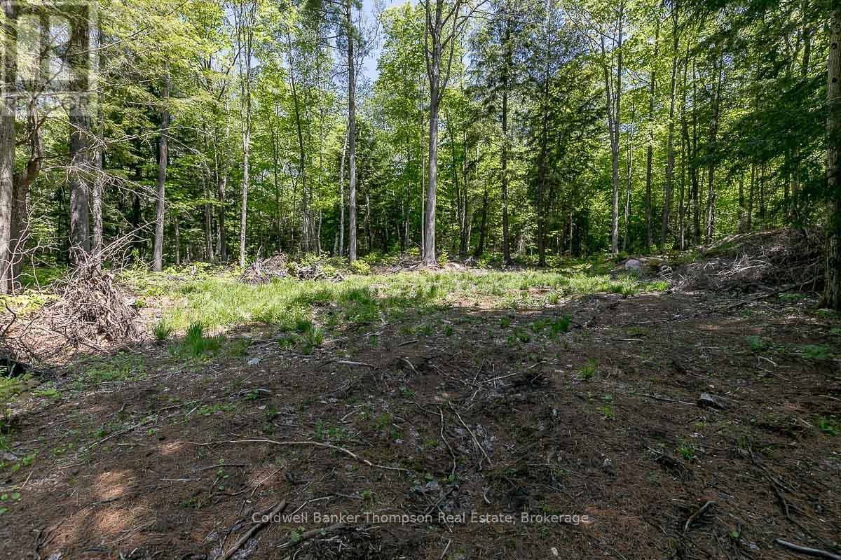 29 Bear Lake Road, Georgian Bay, Ontario  P0C 1H0 - Photo 26 - X12894670