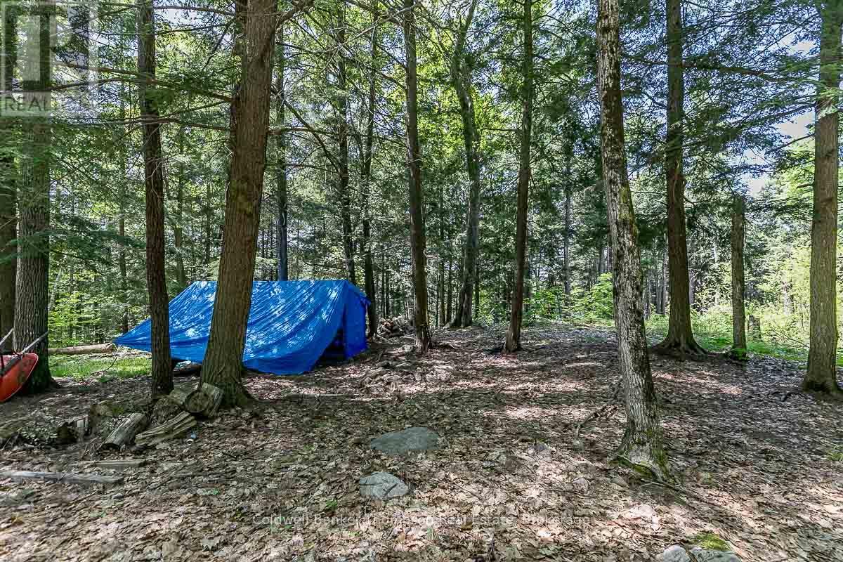 29 Bear Lake Road, Georgian Bay, Ontario  P0C 1H0 - Photo 28 - X12894670