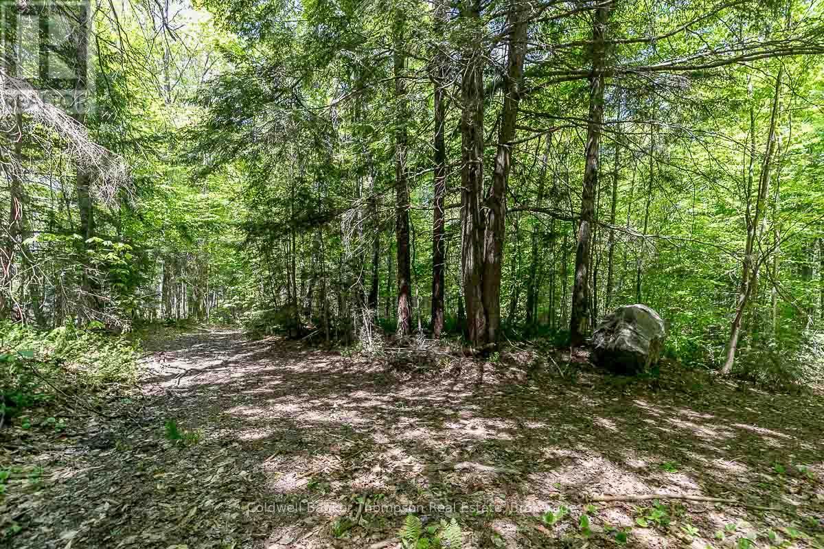 29 Bear Lake Road, Georgian Bay, Ontario  P0C 1H0 - Photo 30 - X12894670