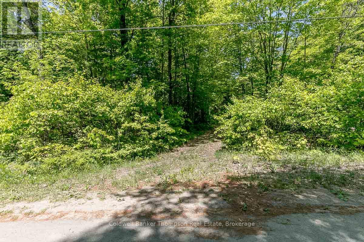 29 Bear Lake Road, Georgian Bay, Ontario  P0C 1H0 - Photo 32 - X12894670