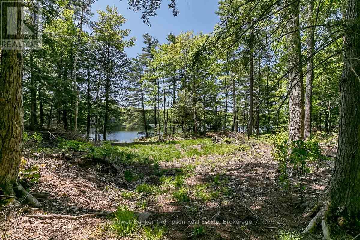 29 Bear Lake Road, Georgian Bay, Ontario  P0C 1H0 - Photo 27 - X12894670