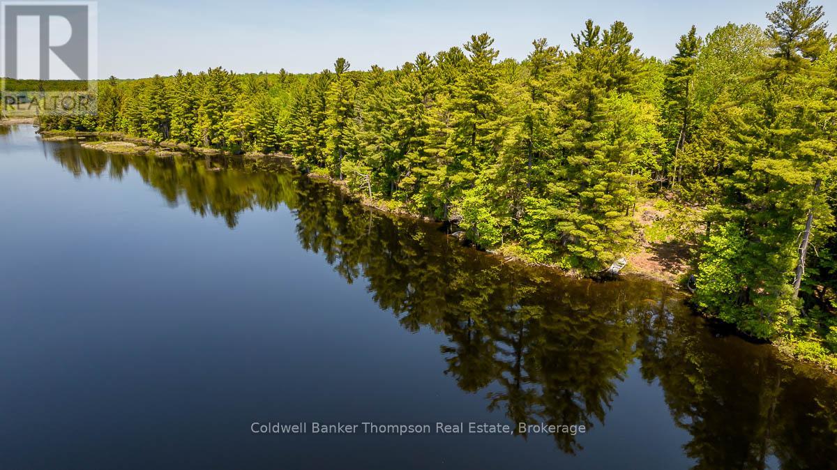 29 Bear Lake Road, Georgian Bay, Ontario  P0C 1H0 - Photo 14 - X12894670