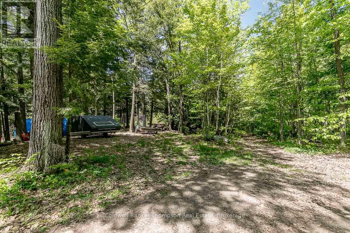 29 Bear Lake Road, Georgian Bay, Ontario  P0C 1H0 - Photo 29 - X12894670