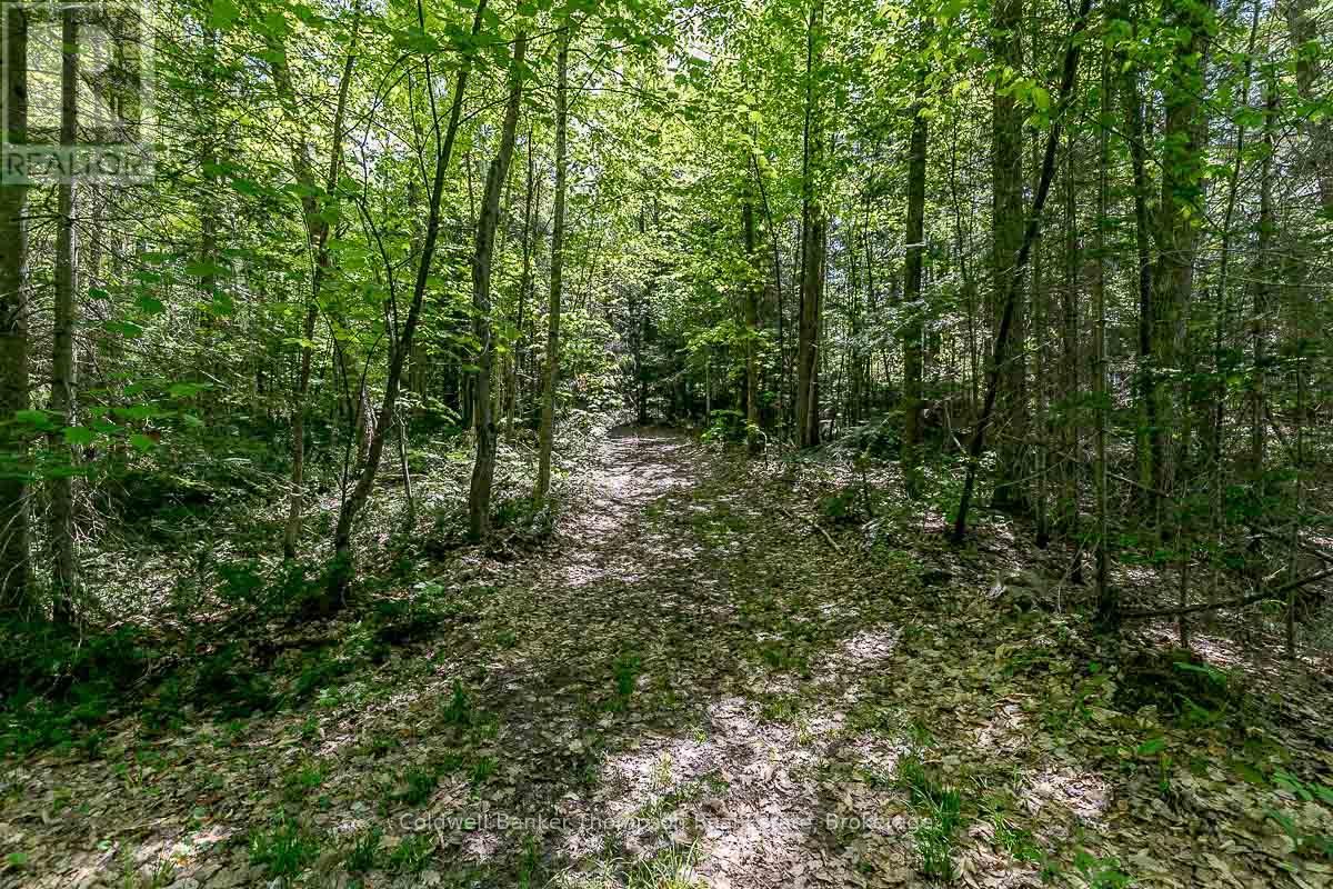 29 Bear Lake Road, Georgian Bay, Ontario  P0C 1H0 - Photo 31 - X12894670