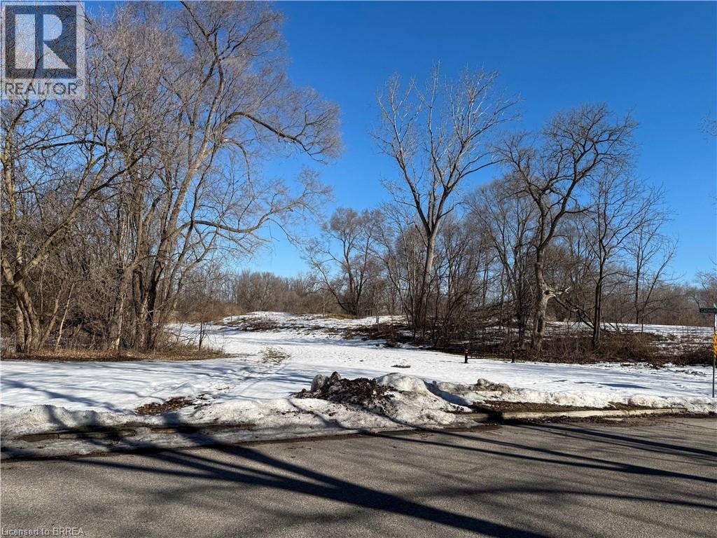 36 Graham Avenue Unit# 3, Brantford, Ontario  N3T 1C4 - Photo 2 - 40811548