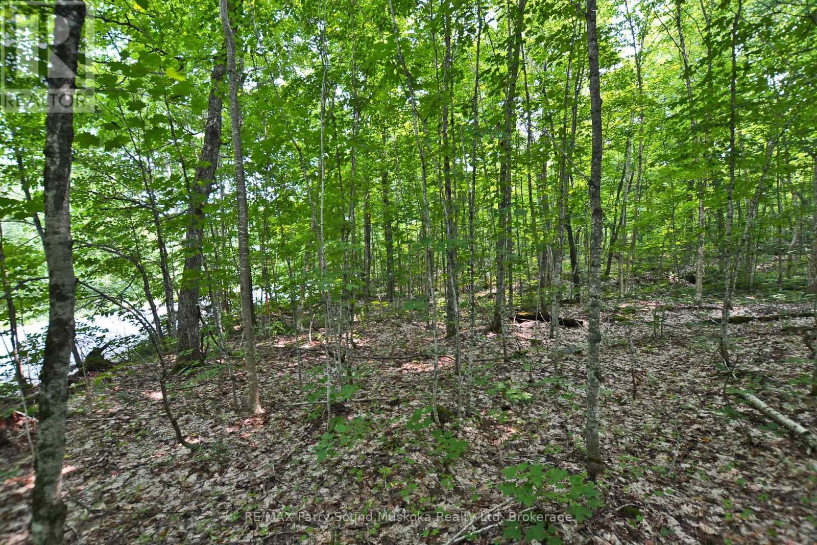 Part 1 - 0 Lyndsey Lane, Mckellar, Ontario  P2A 0B5 - Photo 14 - X12895056