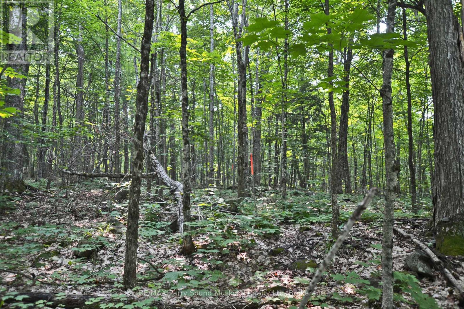 Part 1 - 0 Lyndsey Lane, Mckellar, Ontario  P2A 0B5 - Photo 17 - X12895056