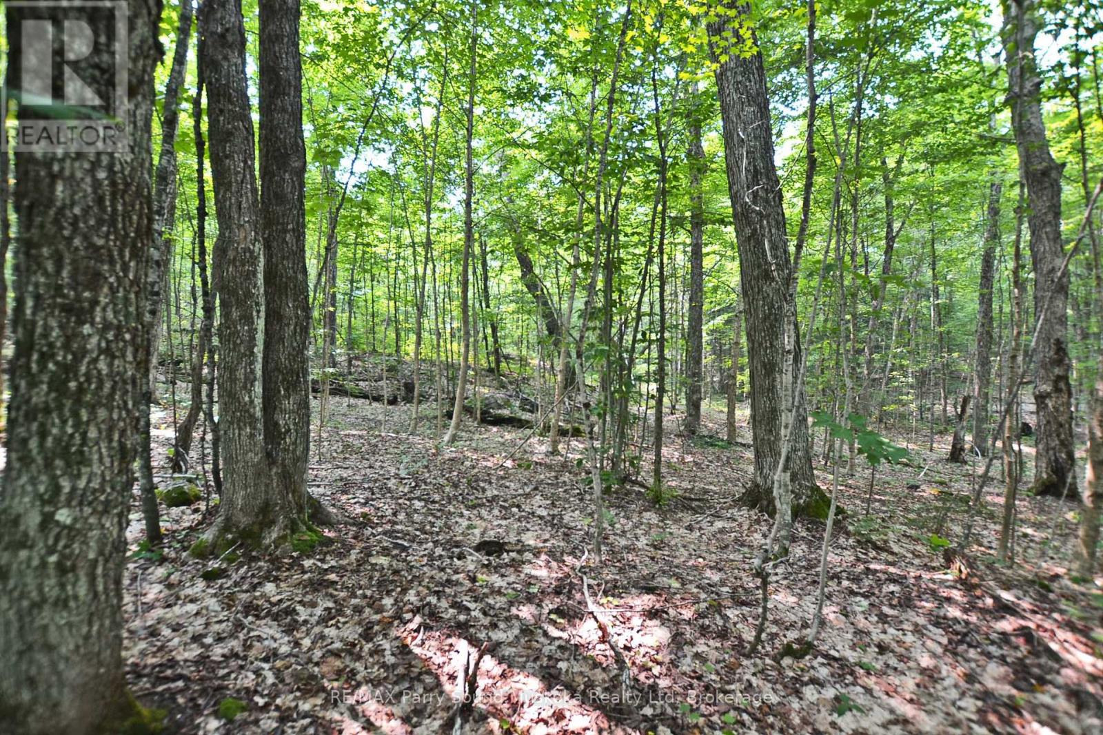 Part 1 - 0 Lyndsey Lane, Mckellar, Ontario  P2A 0B5 - Photo 19 - X12895056