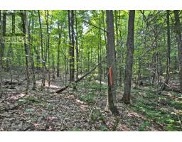 PART 1 - 0 LYNDSEY LANE, McKellar, Ontario