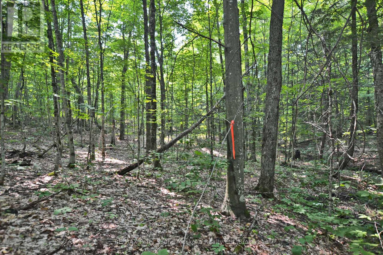 PART 2 - 0 LYNDSEY LANE, McKellar, Ontario