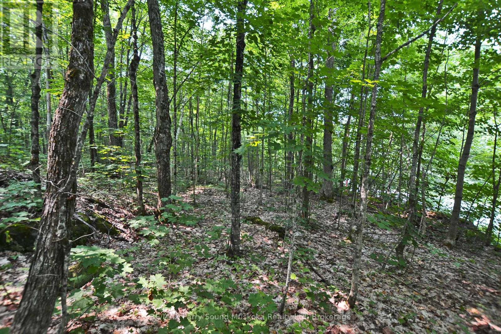 Part 2 - 0 Lyndsey Lane, Mckellar, Ontario  P2A 0B5 - Photo 13 - X12895096