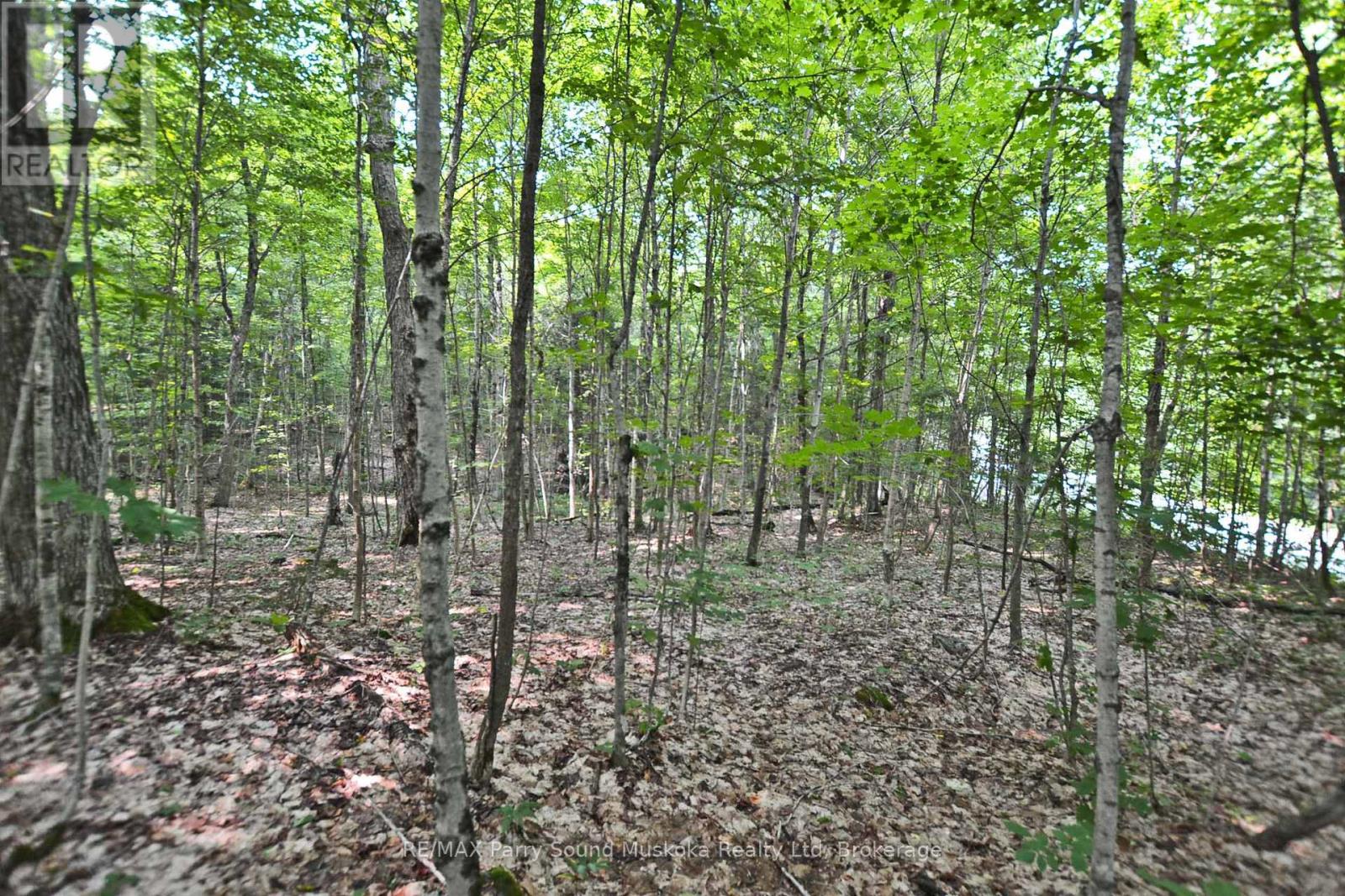 Part 2 - 0 Lyndsey Lane, Mckellar, Ontario  P2A 0B5 - Photo 19 - X12895096